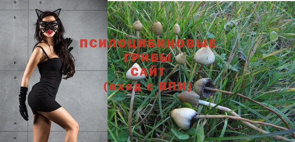 Альфа ПВП Баксан
