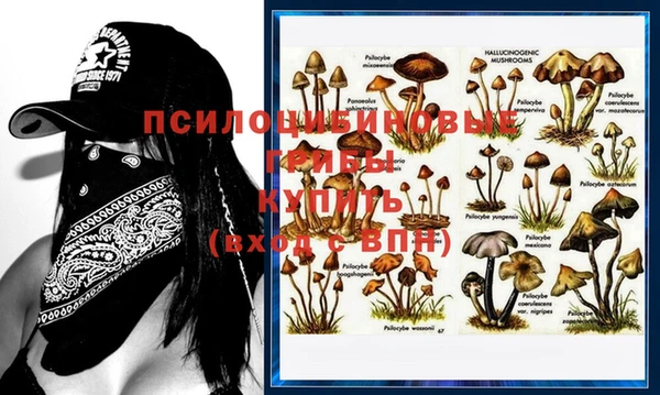 Альфа ПВП Баксан